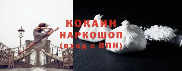 молекула духа Горняк
