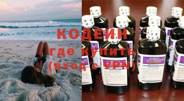 твердый Гусев
