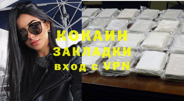 твердый Гусев
