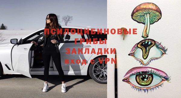 МДПВ Горно-Алтайск