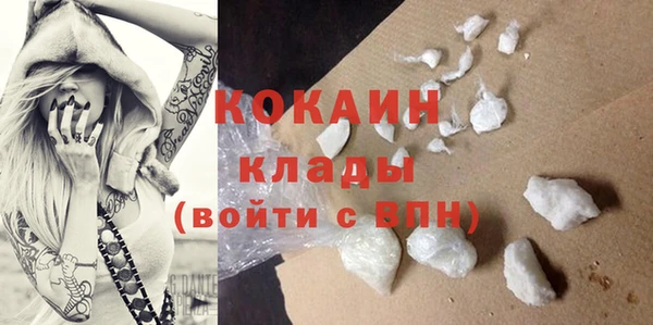 молекула духа Горняк