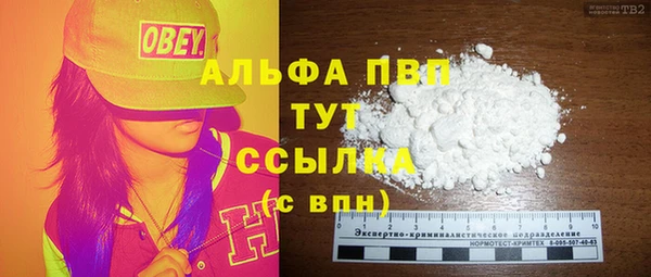 СК Гусь-Хрустальный